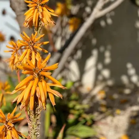Casa La Mar. Relax Y Bonitas Vistas Cala Palmeretes Dom wakacyjny